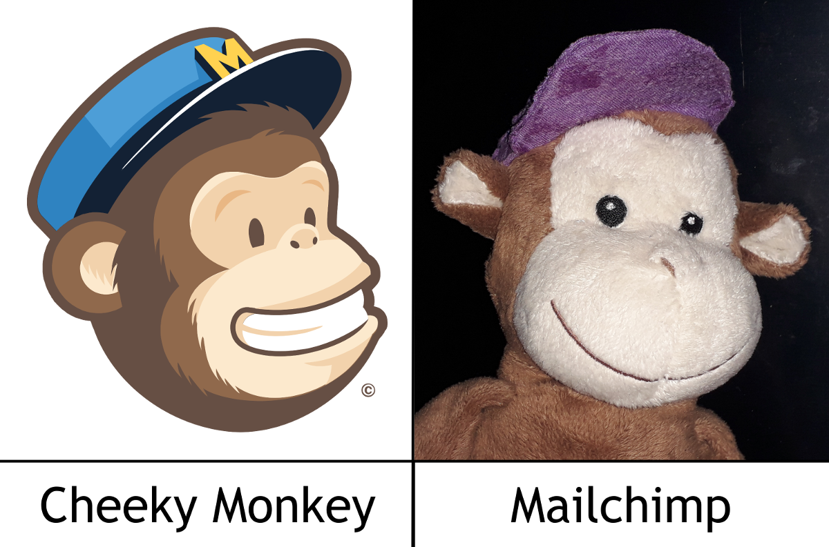 Cheeky Monkey does our Newsletter Cheeky Monkey does our Newsletter