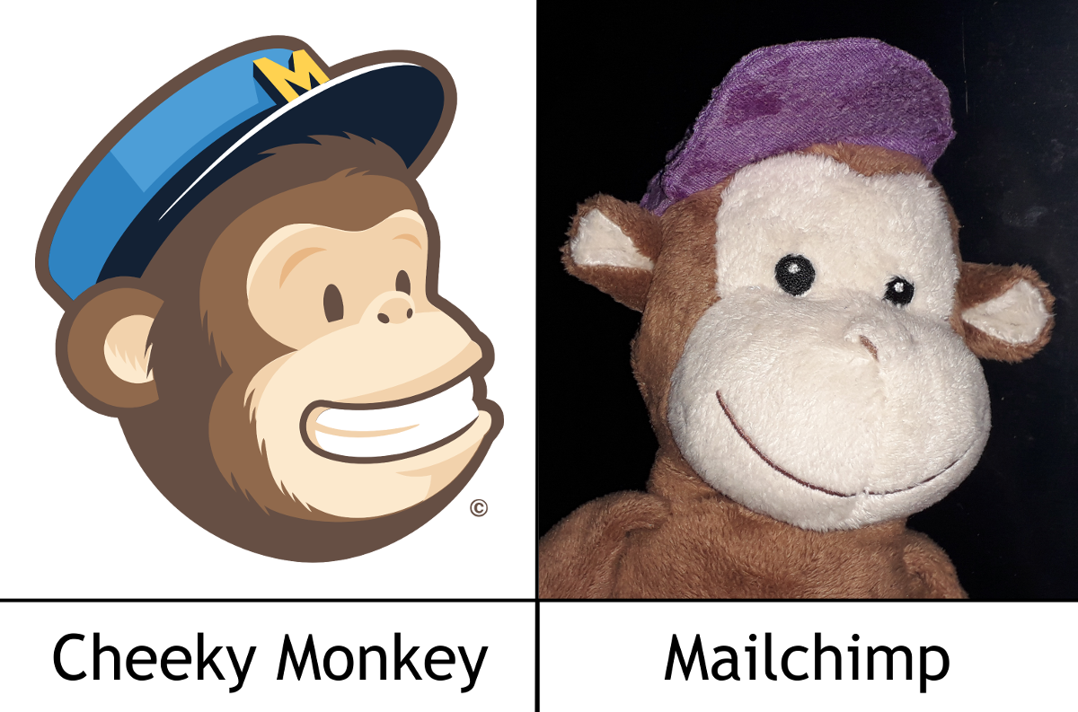 Cheeky Monkey does our Newsletter